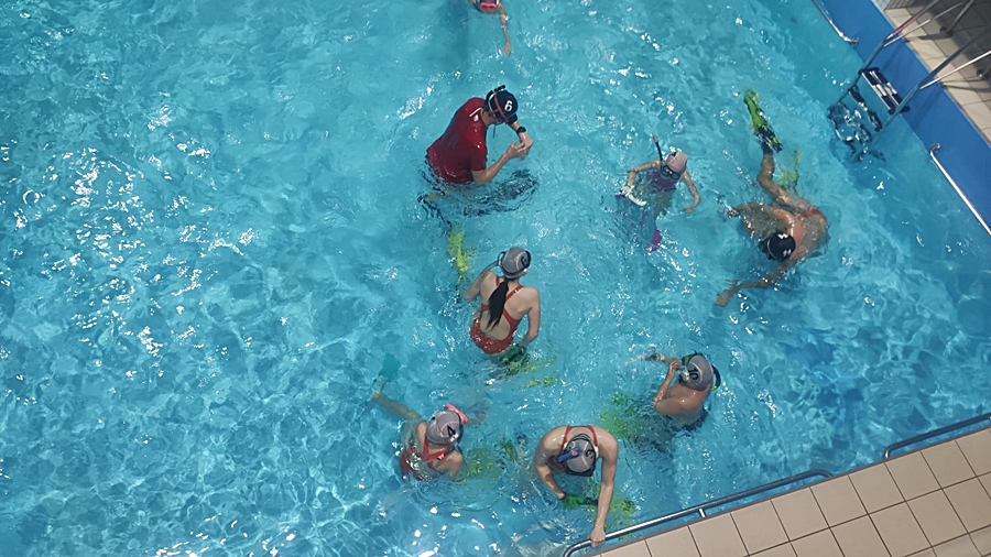 Hokej pod wodą Walenie Siemianowice Śląskie Trening 5 XI 2022. Koniec Walenia czyli Amatorska Liga Hokeja Pod Wodą